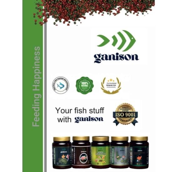 Fish Food