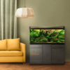 Jumbo Imported Aquarium - 5 Feet