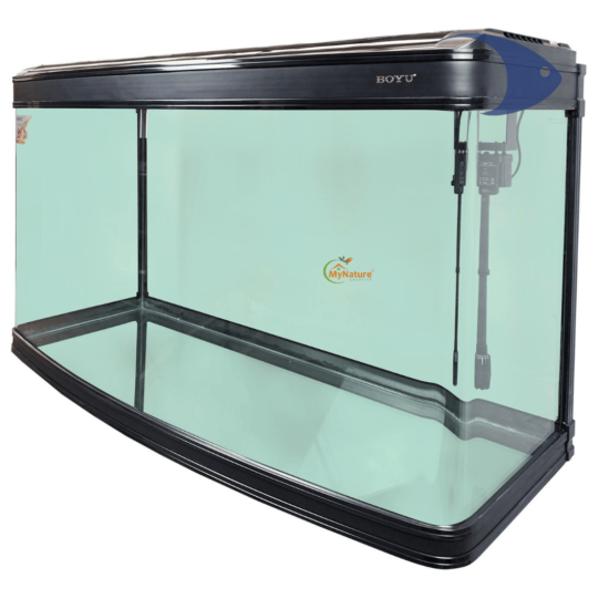 Jumbo Imported Aquarium - 6 Feet