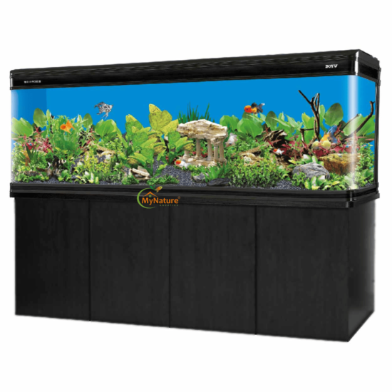 Jumbo Imported Aquarium - 6 Feet