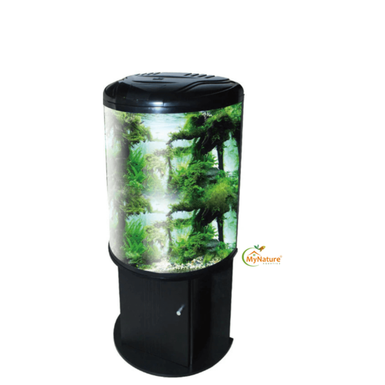 Half Moon Imported Aquarium 1.5 to 2 Feet