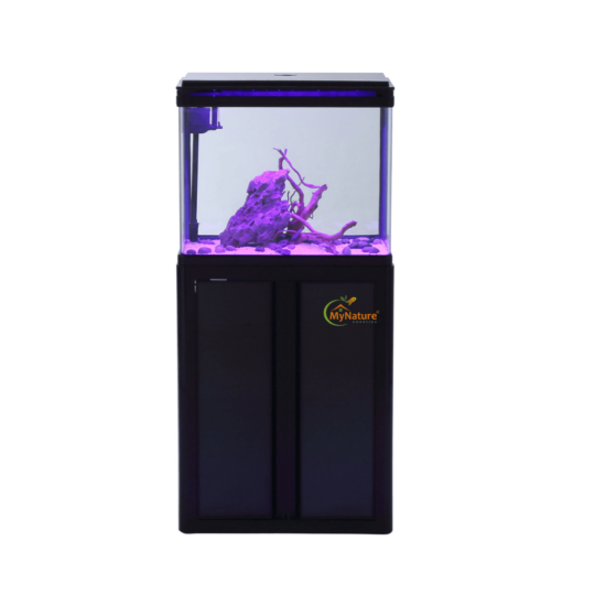 Imported Aquarium 1.5 to 2 feet