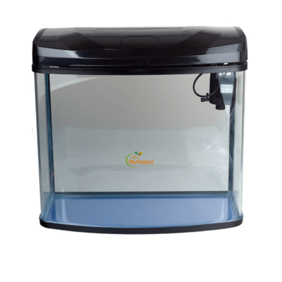 Imported Aquarium 1.5 to 2 feet