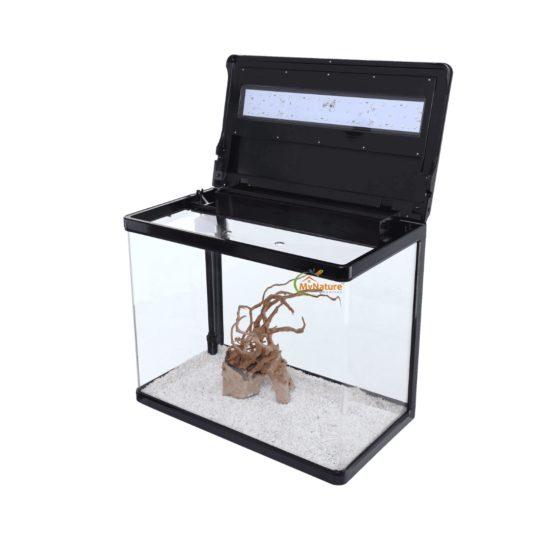Imported Aquarium 1.5 to 2 feet