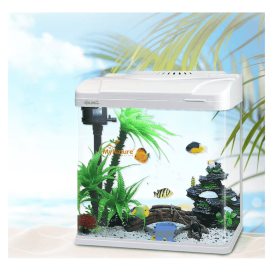 Imported Aquarium 2 to 2.5 Feet