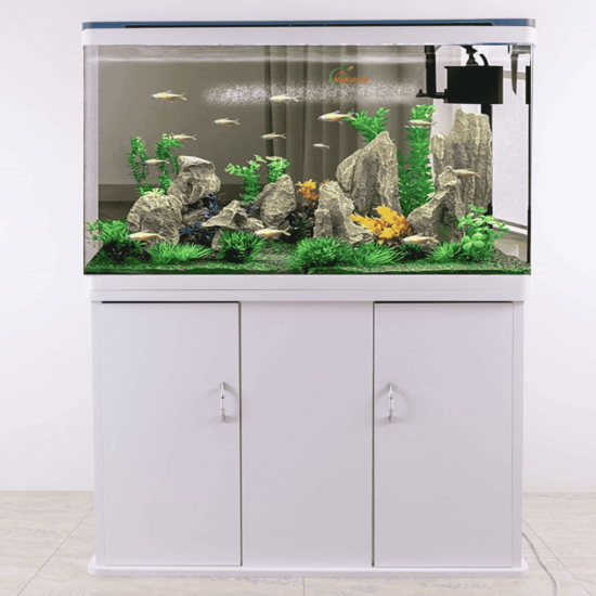 Imported Aquarium 2 to 2.5 Feet