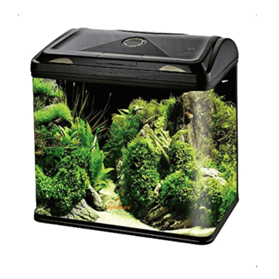 Imported Aquarium 2 to 2.5 Feet