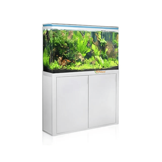 Imported Aquarium 3 to 3.5 Feet