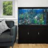 Imported Aquarium 4 Feet