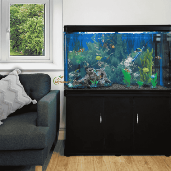 Imported Aquarium 4 Feet