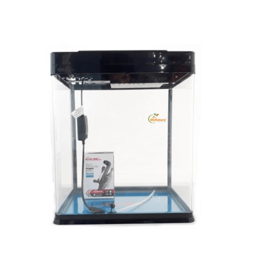 Imported Aquarium Up to 1.5 feet