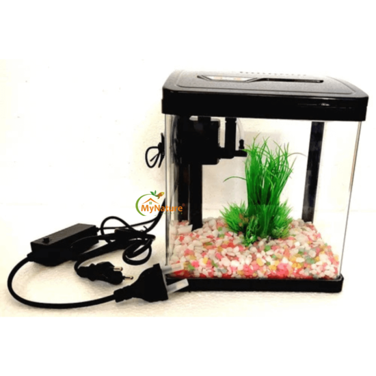 Imported Aquarium Up to 1.5 feet