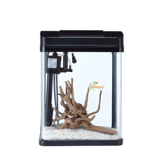 Imported Aquarium Up to 1.5 feet