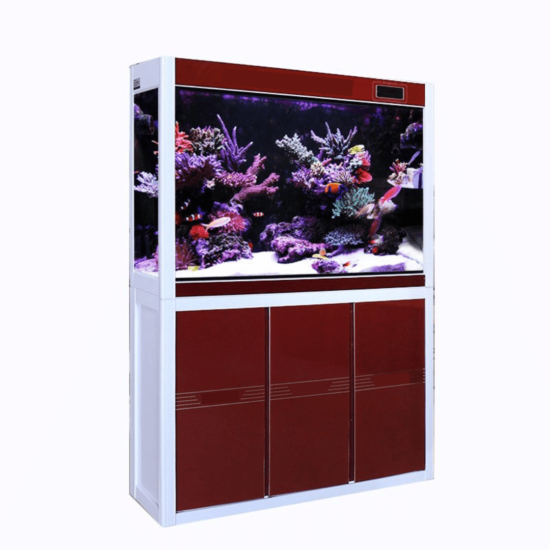 Jumbo Imported PEC Aquarium 5 feet