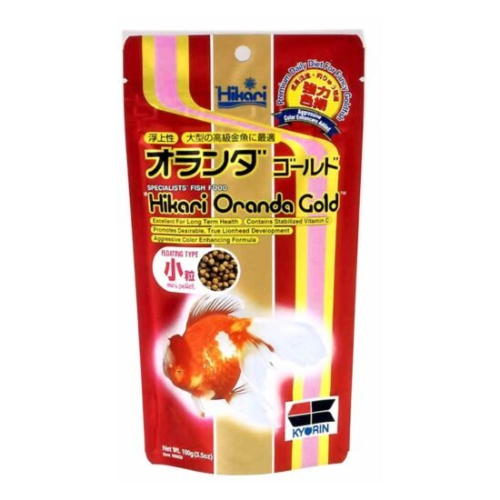 hikari oranda gold